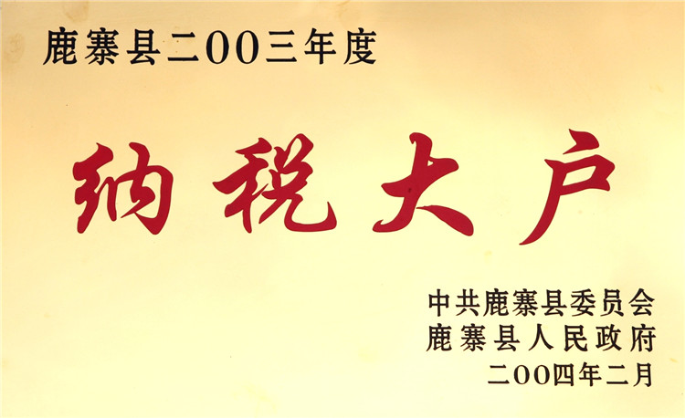 2003年度纳税大户