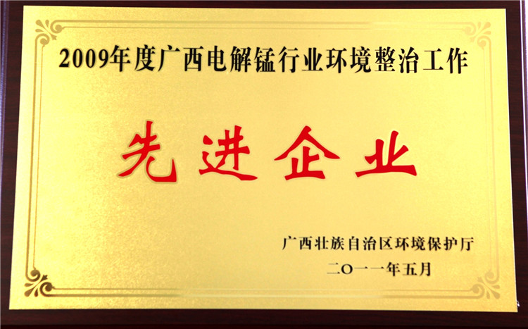 2009年度环境整治先进企业