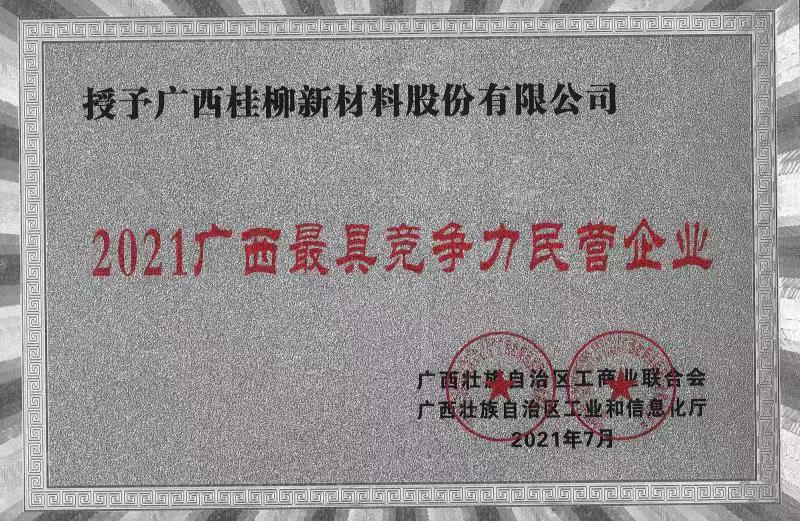 2021广西最具竞争力民营企业