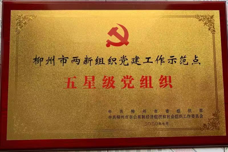 柳州五星级党组织
